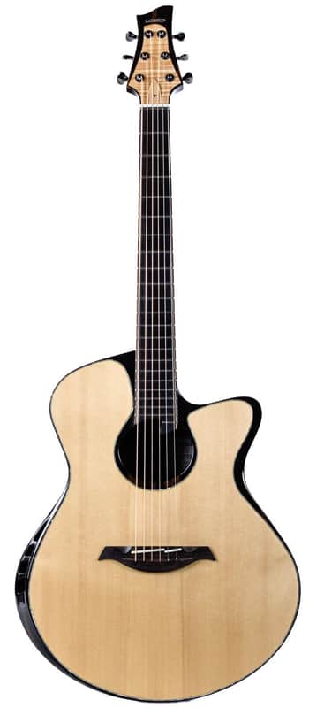 Waanders Grand Fingerstyle Madagascar Rosewood Italian Spruce 2018 image 1