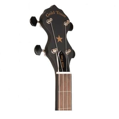 BANJO 5 Cordes GOLD TONE AC-12 - OLDTIME AC SERIE 12" + BAG imagen 8