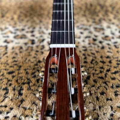 Cordoba C9 Parlor Nylon String Acoustic Guitar Natural image 14