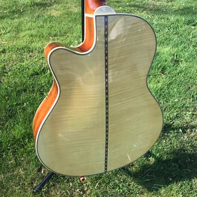Johnson Archtop Hollowbody Electric Guitar Striped Maple image 5