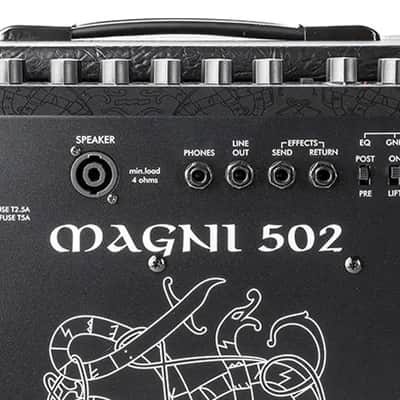 EBS Magni 502/210 | 500W 2x10" Bass Combo. New with Full Warranty! image 4