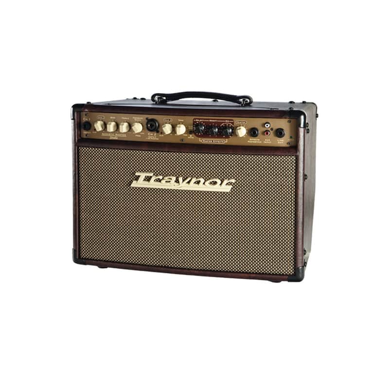 Traynor AM Studio Acoustic Master 65-Watt 1x8" Acoustic Guitar Combo with Tweeter image 1