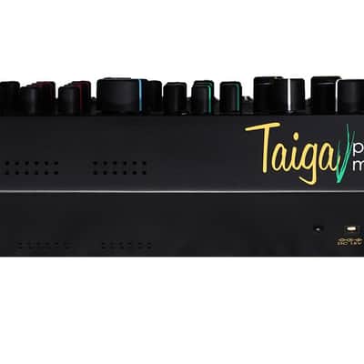 Pittsburgh Modular Taiga   Paraphonic Analog Synthesizer [Three Wave Music] image 4
