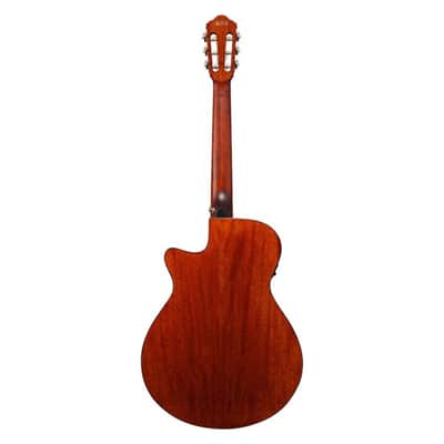 Ibanez AEG50N NT Nylon String - 4/4 classical guitar image 3