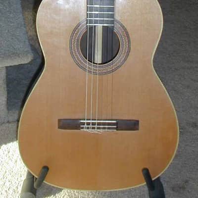 Robert E Thompson Classical 2011 - Brazilian, French polish image 1