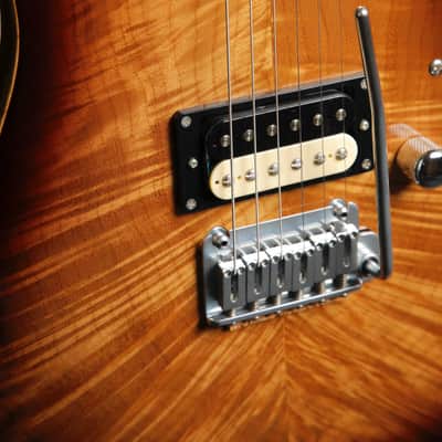Patrick James Eggle 96 Drop Top Electric Guitar image 6