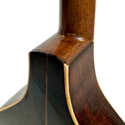 Flat-Back Mandolin Model Luxe Bruno Klemm 1890's / 1900's image 11