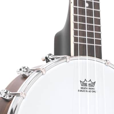 Gold Tone BUT: Tenor-Scale Banjo Ukulele with Case image 4