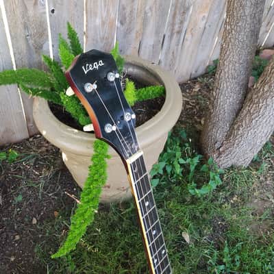 Vega Tenor Banjo 1959 image 4