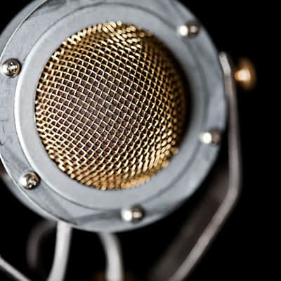 Ear Trumpet Labs Edwina - Large Diaphragm Cardioid Condenser Microphone image 2