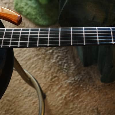 2006 Parker Fly Mojo Mahogany Piezo Duncan Pickups Hard Shell Case Tools 9 and 10 Springs image 7