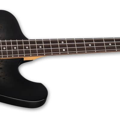 ESP LTD Phoenix-204DX Electric Guitar in Black Burst B-Stock image 4