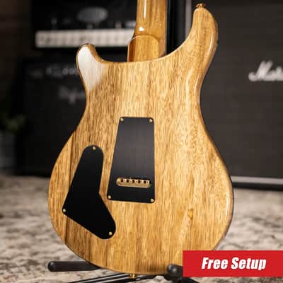 PRS 40th Anniversary Special Semi-Hollow Artist Top Electric Guitar - Custom Color with Hardshell Case image 2