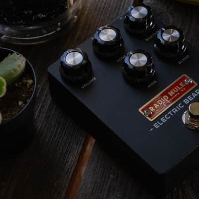 Radio Mule - Electric Beard image 3