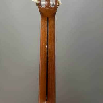 Cordoba Classical 55rce guitar image 6