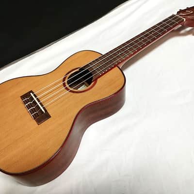 KALA Solid Cedar Top Acacia Concert UKULELE new UKE KA-ACP-CTG w/ Hard Case image 3