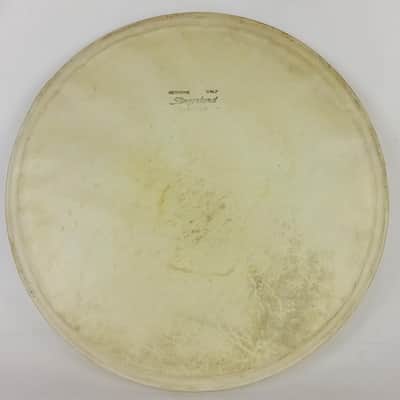 Slingerland 12" Genuine Calf Skin Tom Tom Drum Head Batter/Resonant Vintage 50s image 1