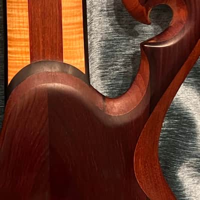 Carl Thompson Custom 6 String Fretless 2007 - Cocobolo image 5