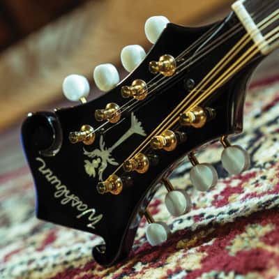 Washburn M1SDLB Bluegrass Series A-Style Mandolin. New with Full Warranty! image 5