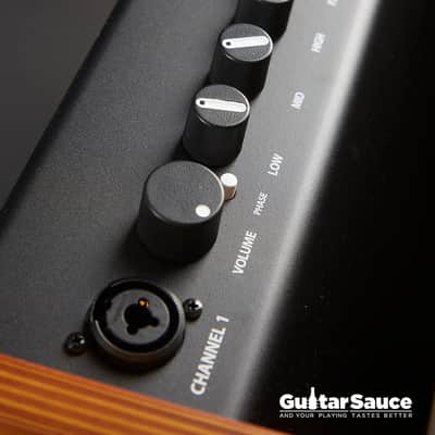 Fender Acoustic Amp 100 Watt 2024 (Cod. AMP_00161) image 7