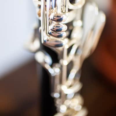 Buffet R13 Prestige Bb Professional Clarinet image 7