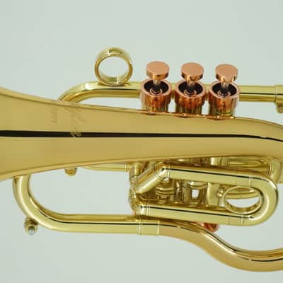 CarolBrass Pocket Flugelhorn / Taylor Phat Puppy 2024 - Polished / Lacquered image 6