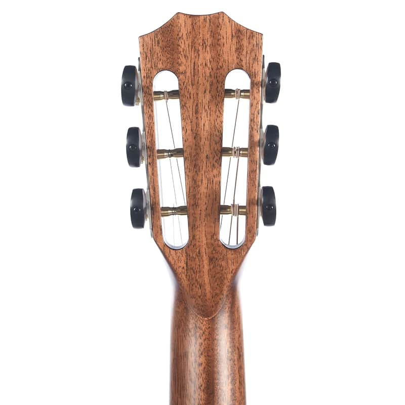 Taylor 322e 12-Fret Tasmanian Blackwood image 7