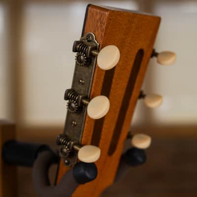 Lyon & Healy Lakeside Parlor - Cherry #002 image 13