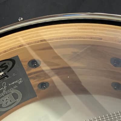Pearl Brian Frasier Moore Signature 5.5x14" BFM1455, 12-Ply Maple Snare Drum 2002 image 16