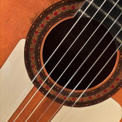 1965 Manuel de la Chica Flamenco Guitar image 12