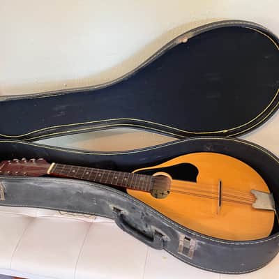 Montana ELM 100 A-Style Mandolin by Kaman Music Corporation — Made in Romania — w/ Hard Case image 1