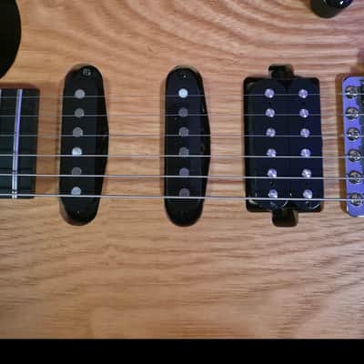Chapman ML1 Traditional 2015 - 2021 - Natural image 2
