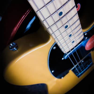 Fender Squier Telecaster 2026 - Butterscotch image 5