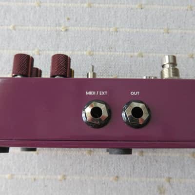 Chase Bliss Audio Brothers AM 2025 image 4