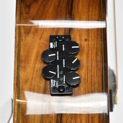 Ibanez EW50 CB NT Semi-Acoustic Guitar Occasion image 13