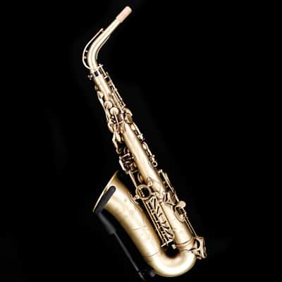 Selmer Paris 82SIGF Professional Alto Saxophone, Vintage Matte image 3