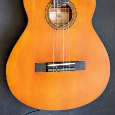Sonicguitars CLASSIC PLAYER 2026 - Shellac image 2