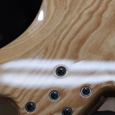 Lakland Skyline Series 55-01 Deluxe Spalted Maple Natural 5-String Electric Bass image 20
