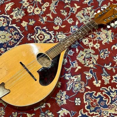 Levin Model 158 1968 - Natural Gloss image 2