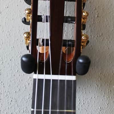 Brand New Cordoba C10 Cedar Top Classical Guitar image 2
