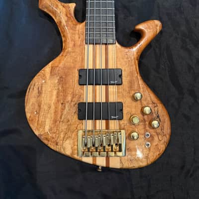 Spear S1-SP 5 string, 2005-2008, RARE! image 1