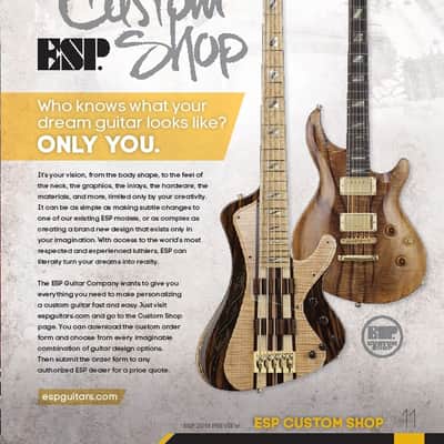 ESP Stream Original Series Custom Shop NAMM Exhibition Bass Guitar image 1