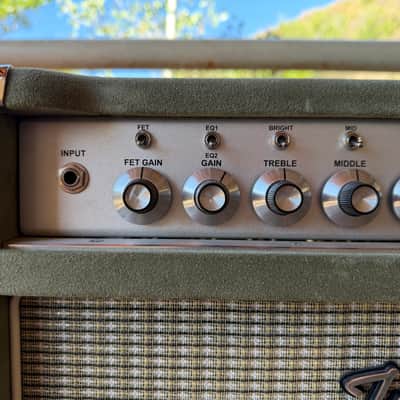 Two Rock TS1 6L6 50-Watt Moss Green Suede image 8
