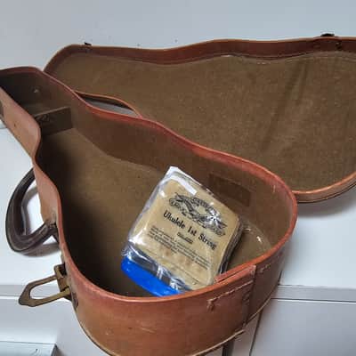 RARE Vintage 1930s GEIB (USA) Chicago Economo Ukulele Case image 22