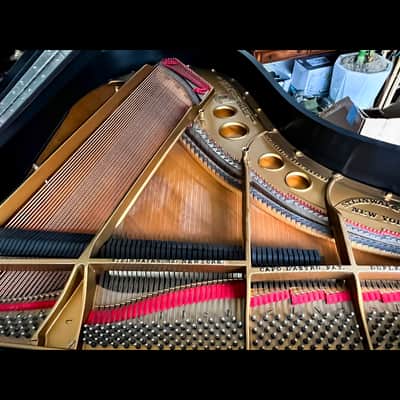 Timeless Excellence: Steinway & Sons Model O Grand Piano image 4