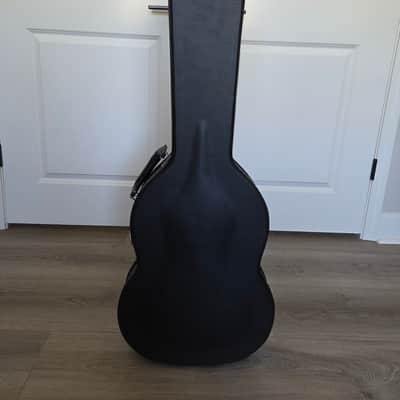 2020 Firefly FFTH Sunburst image 6
