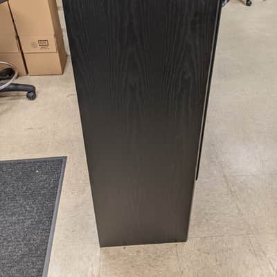 Sound Dynamics RTS-P100 Floor Standing Speakers (Black) image 3