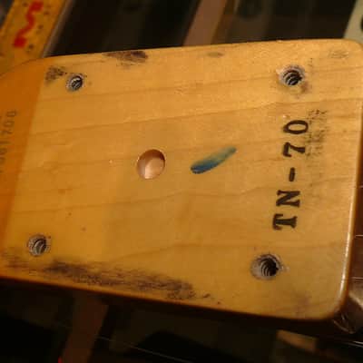 Fender Japan Thinline Telecaster Reissue MIJ TN-70 2004-06 image 10