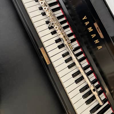 Wm. S. Haynes, Amadeus Flute - Beautiful! image 14