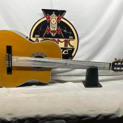 Esteban Granada Classical Acoustic Guitar and G10 Amplifier Like New image 2